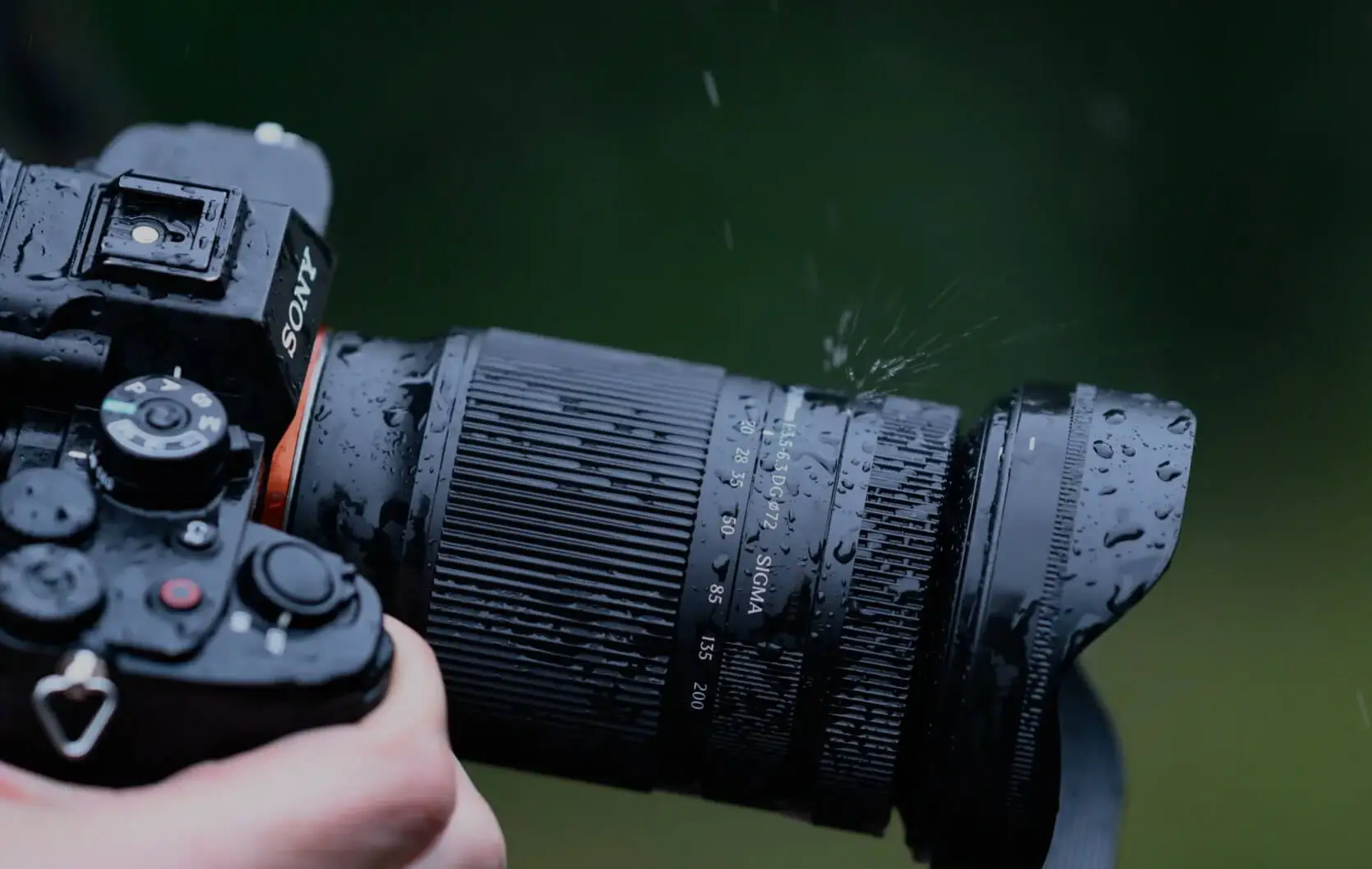 Dariusz Breś testuje SIGMA 20-200 mm – lekki zoom z potencjałem