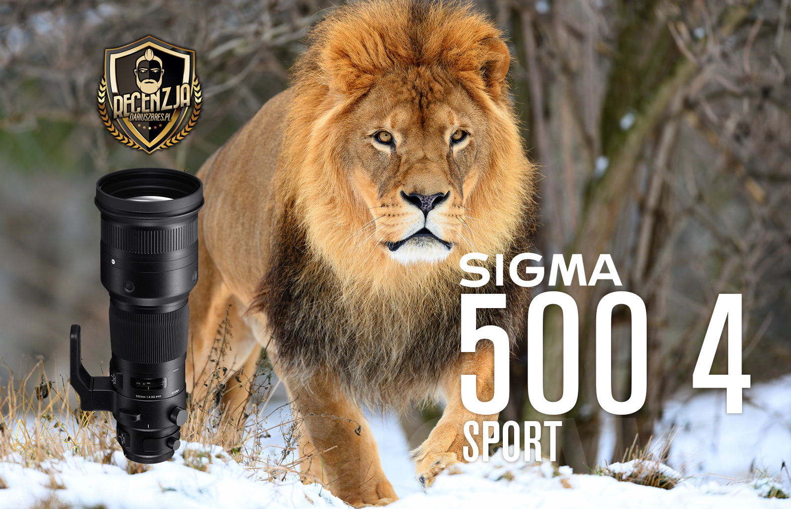 SIGMA 500mm F4 DG OS HSM | Sports w recenzji Dariusza Bresia