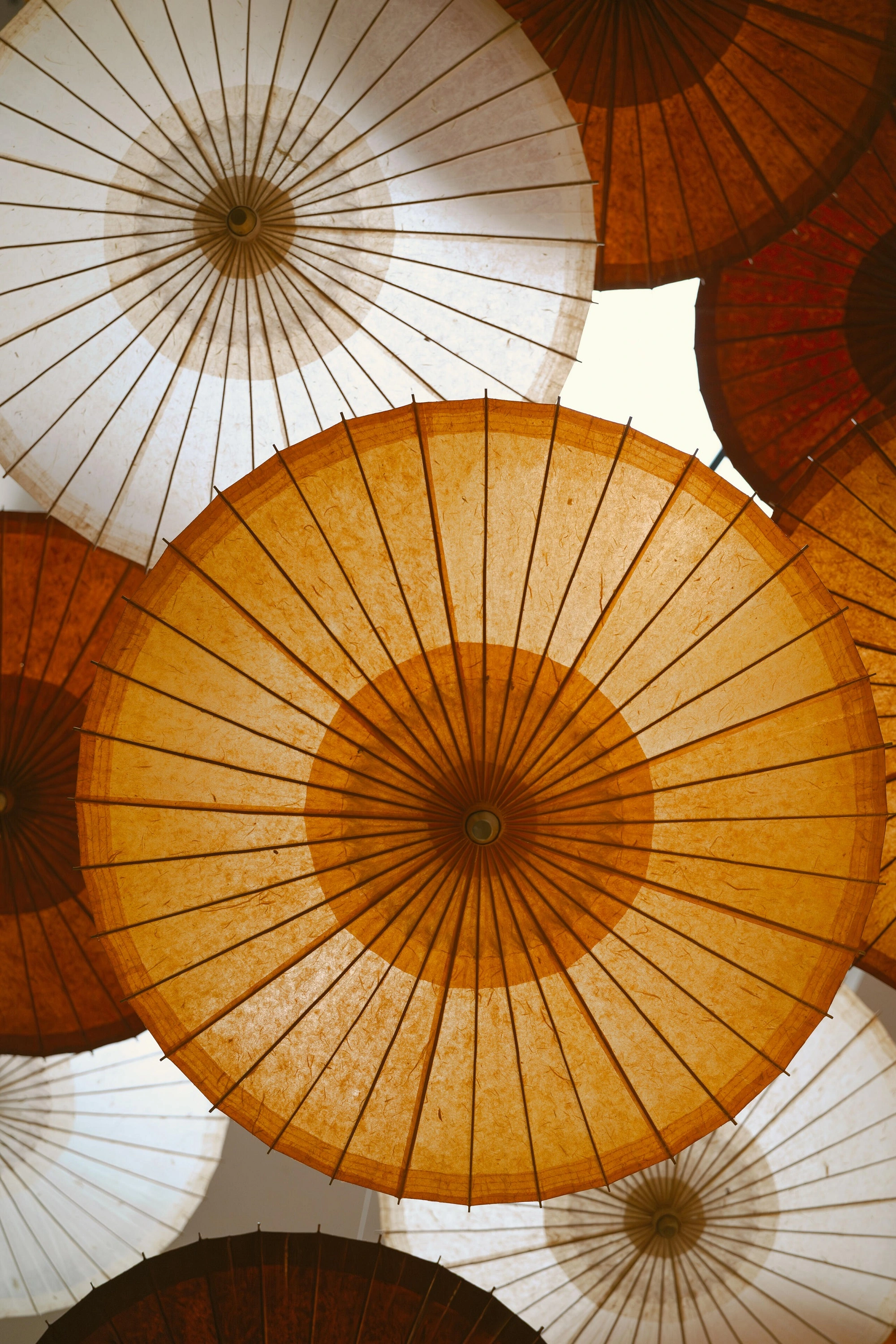 Jak uzyskać filmowy look zdjęć z obiekktywem SIGMA 35 mm F/1.4 Art?