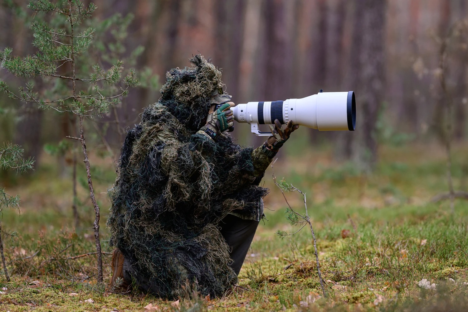 Praktyczny test obiektywu SIGMA 300-600 mm F4 DG OS Sports