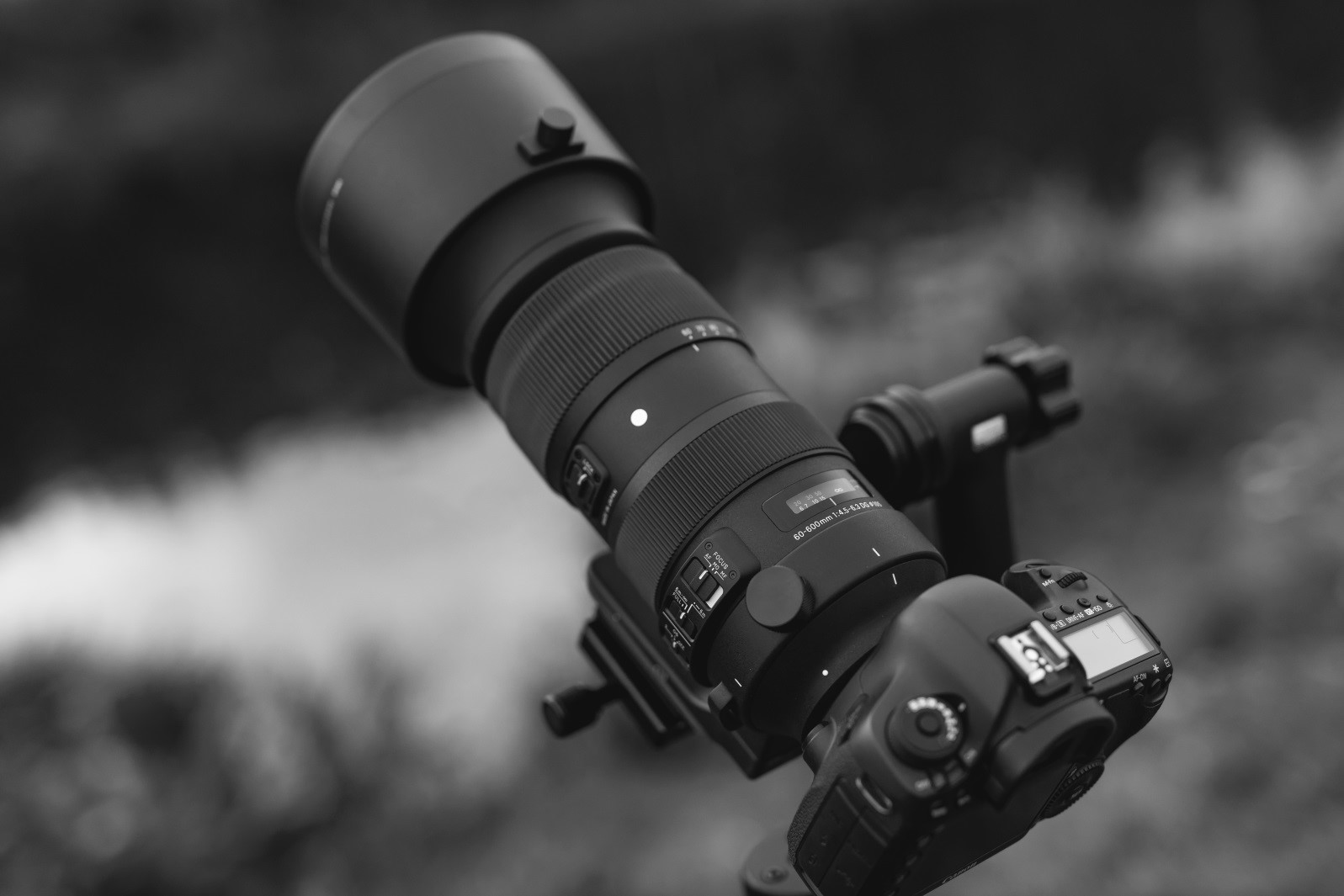 Sigma 60-600mm F4.5-6.3 S DG OS HSM – pierwsze wrażenia