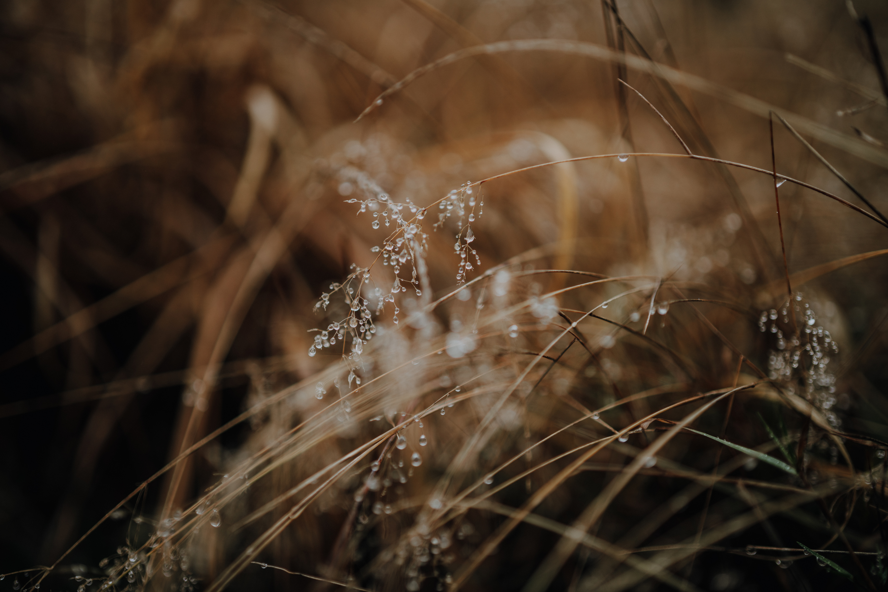 Obiektyw SIGMA 50 mm F1.4 DG DN_7