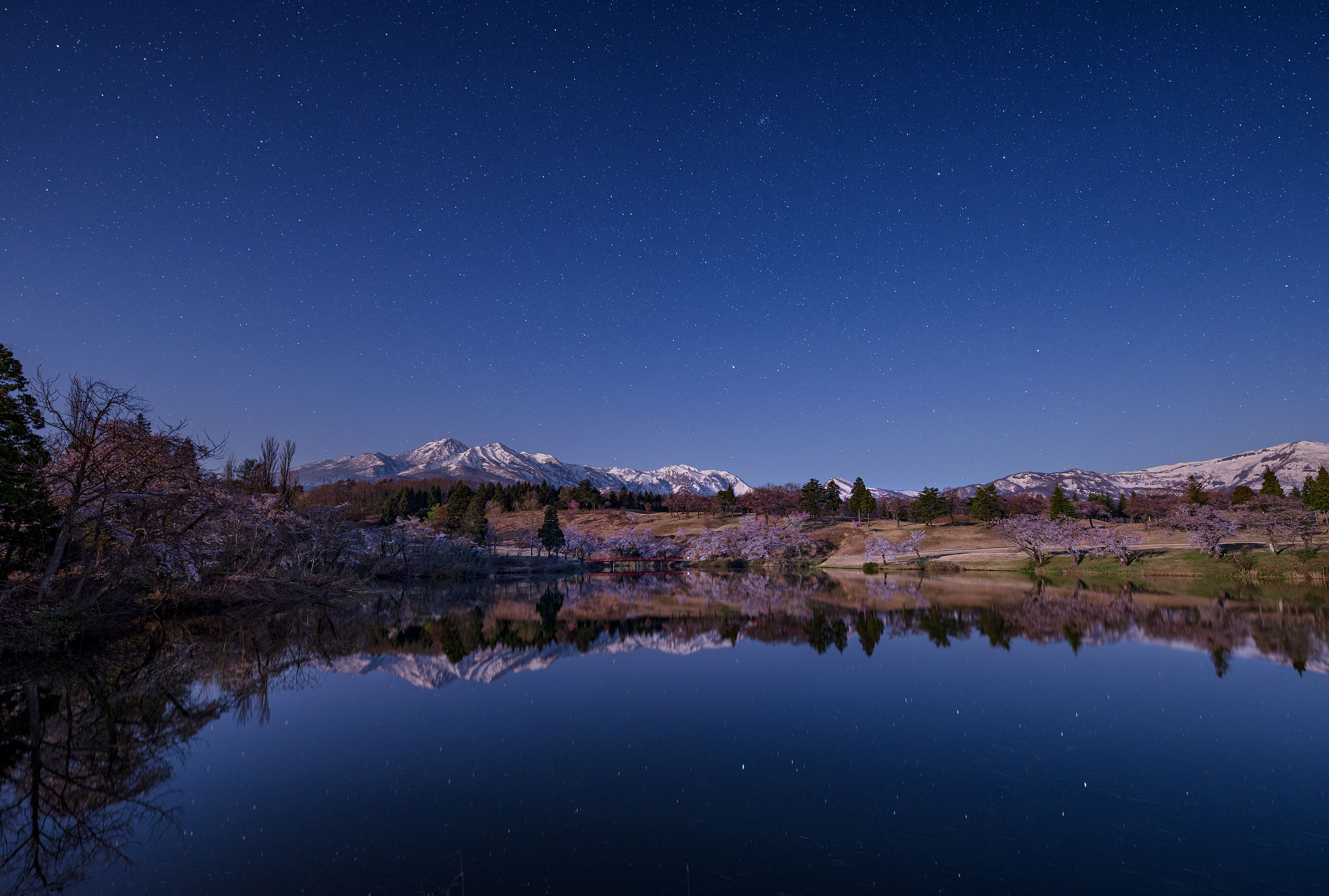 Obiektyw SIGMA 14 mm F1.4 DG DN - 352 - 1